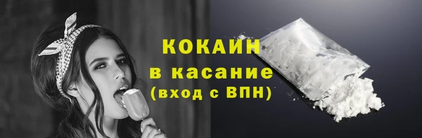 ешки Ельня