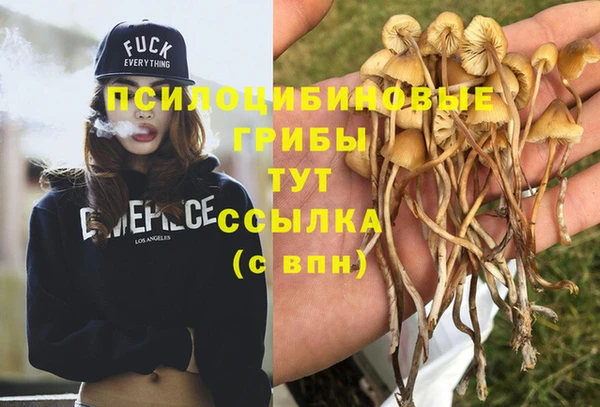 ешки Ельня
