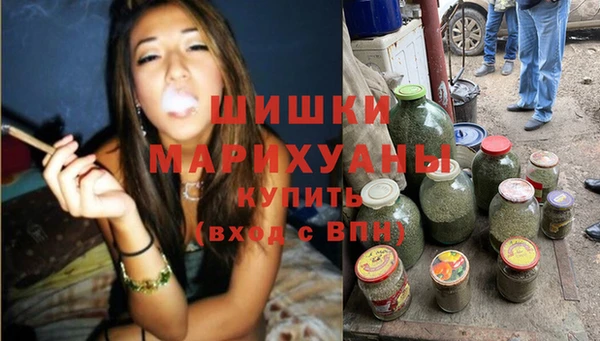 ешки Ельня