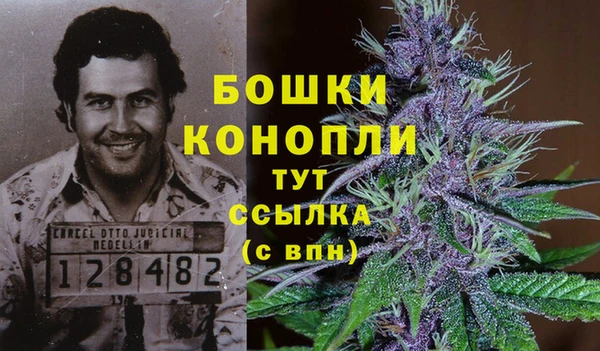 прущие крисы Чекалин