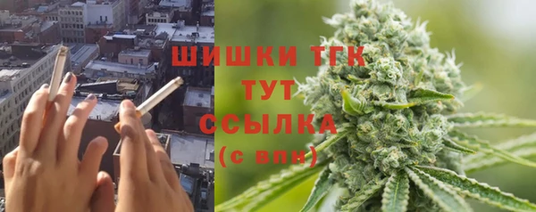 ешки Ельня