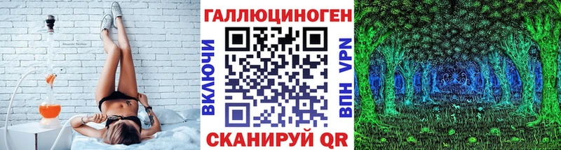 где найти наркотики  Калининск  Псилоцибиновые грибы GOLDEN TEACHER 